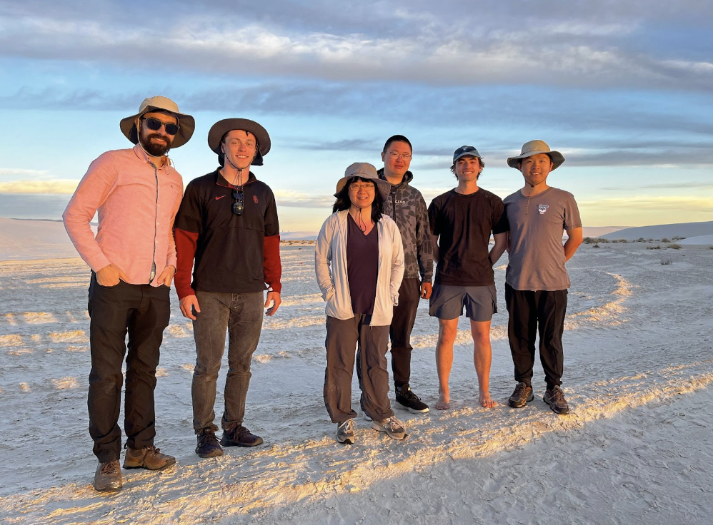 WhiteSands Field Testing