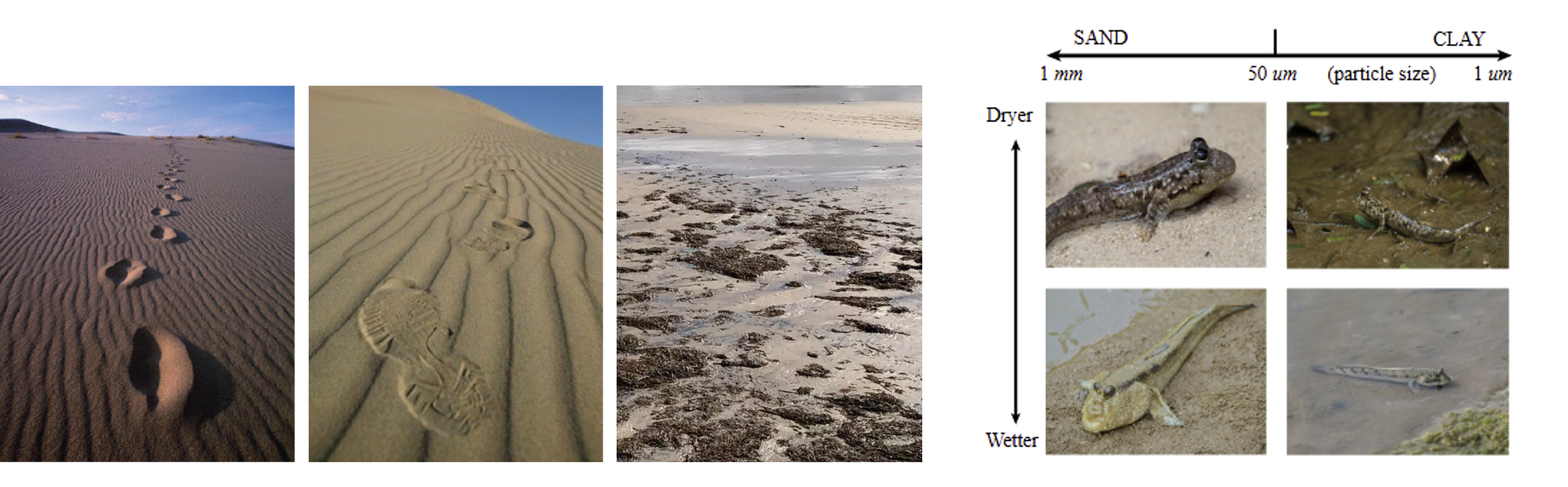 Motivation showing challenges of muddy terrain navigation