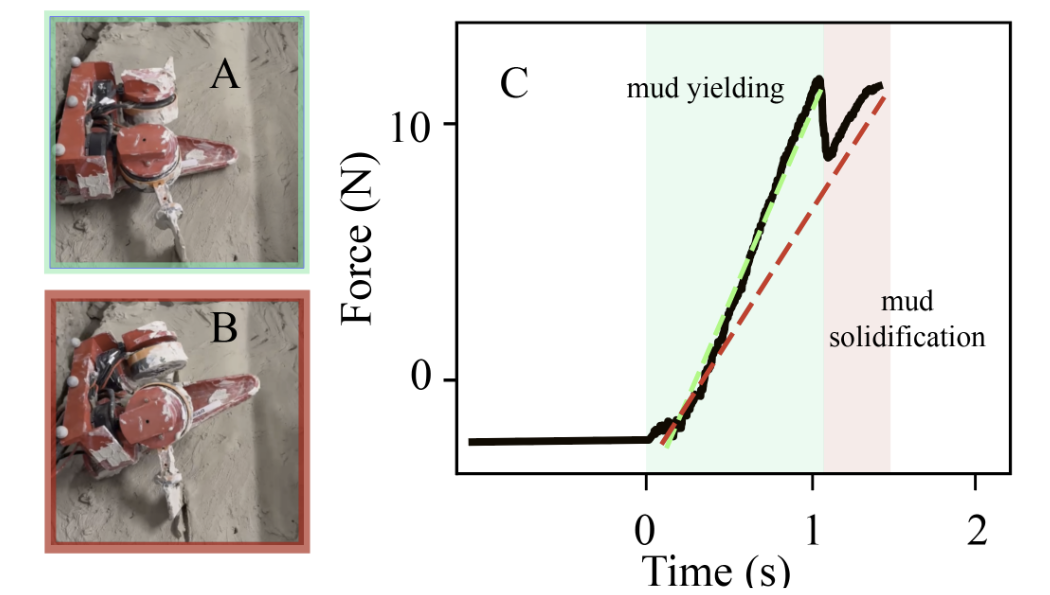 Analysis of robot sensing during body movements